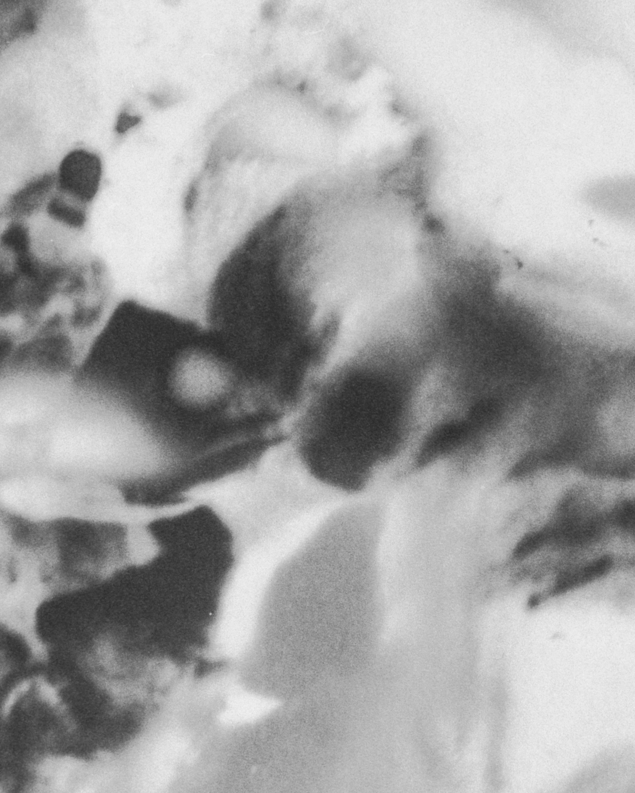  When everything is everything, the feeling is mutual  (detail)