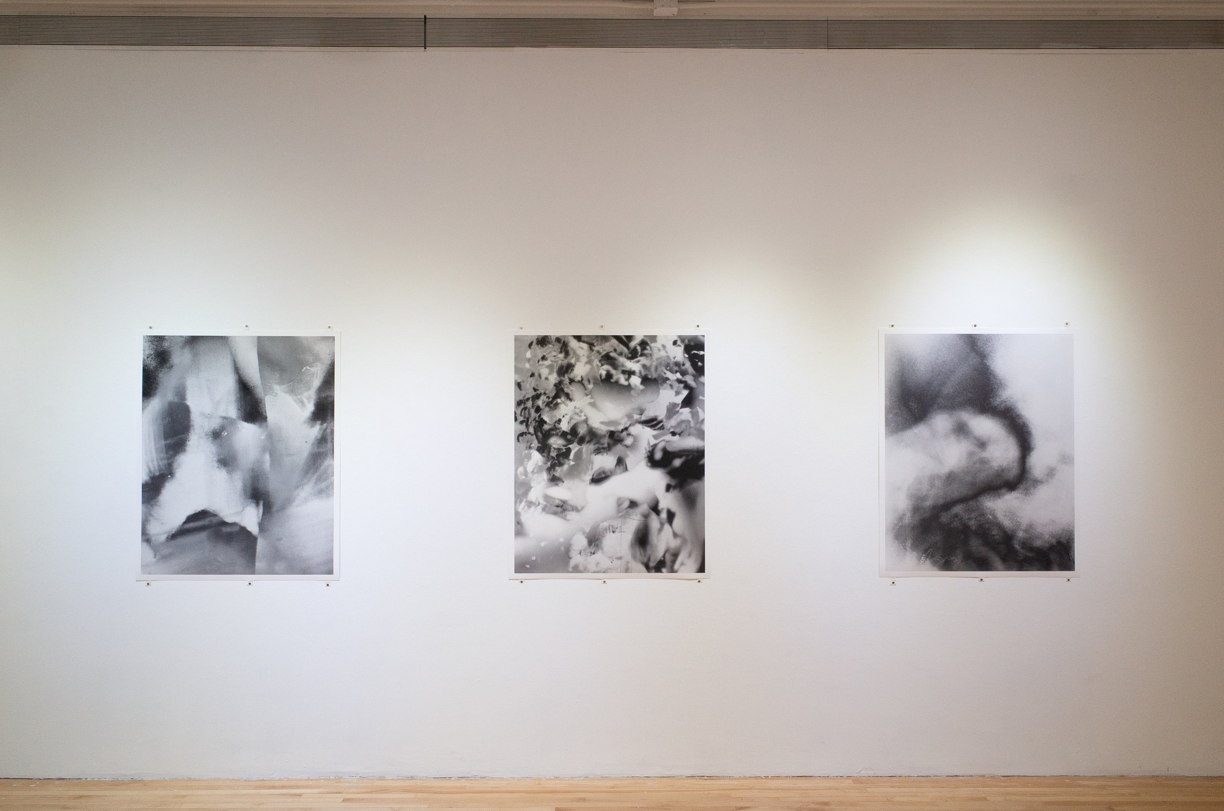 Installation view, 2026