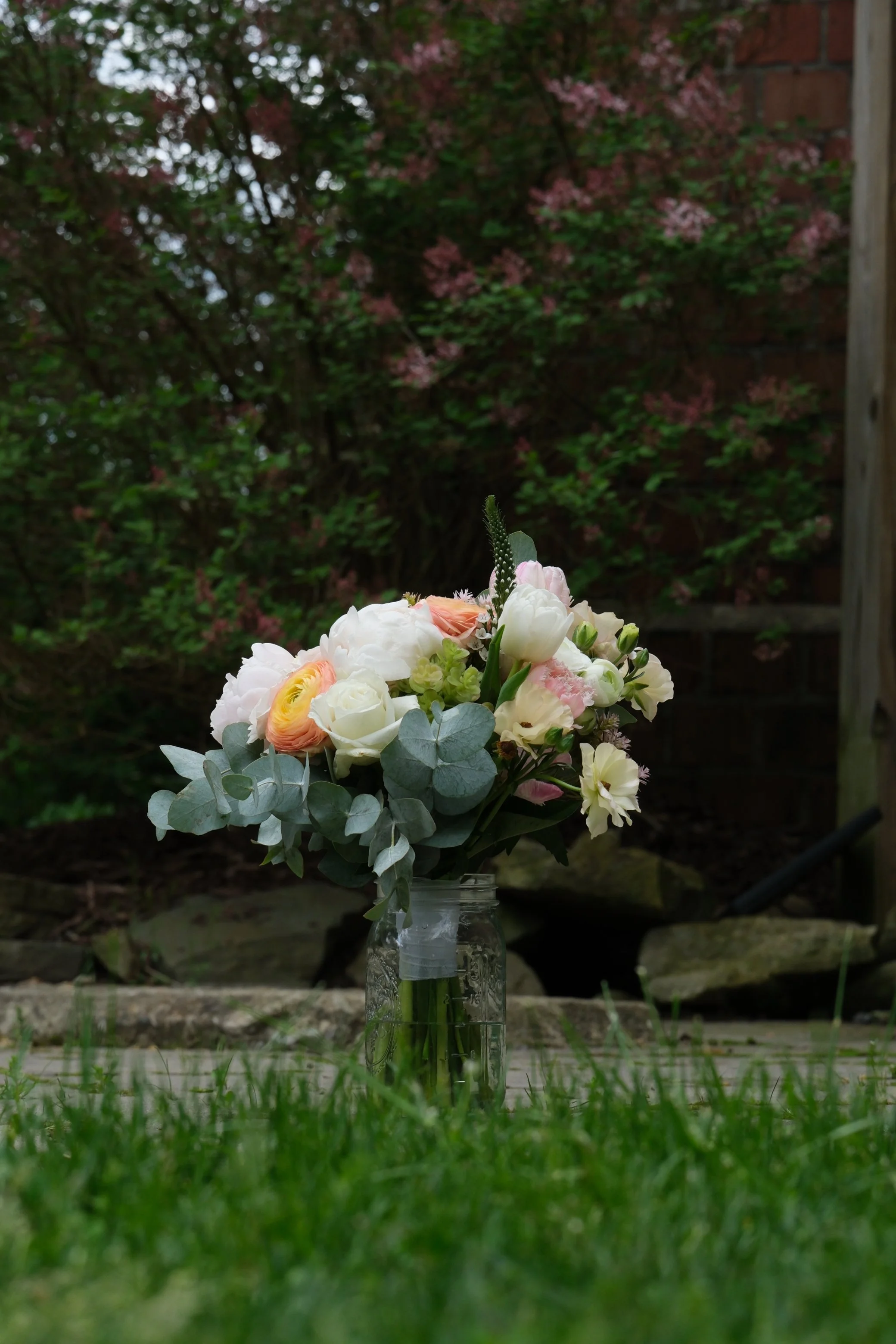 DSCF0093.JPG