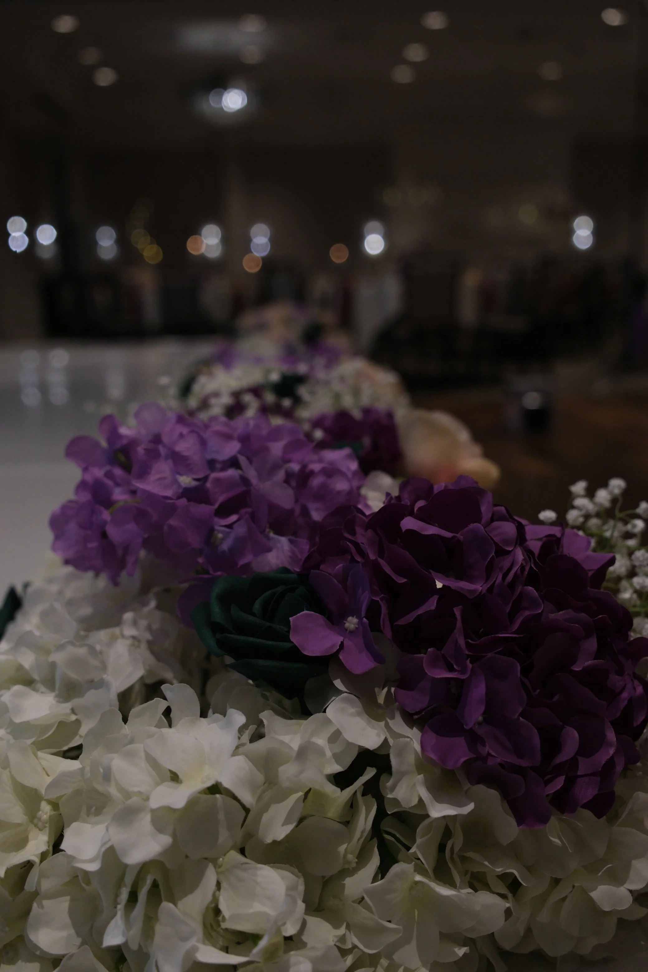 DSCF3149.JPG