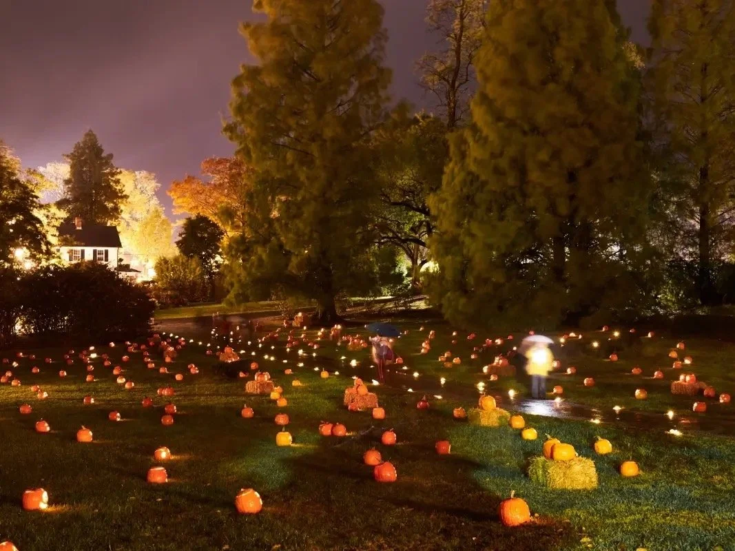 Ladew Gardens, Garden Glow