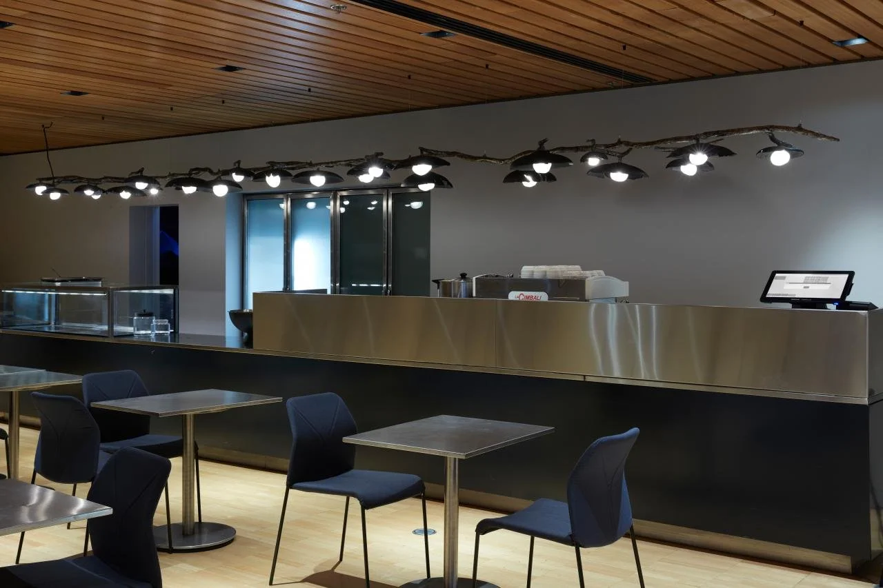 Saṃsāra branch ceiling light