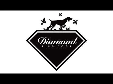 Diamond Bird Dogs
