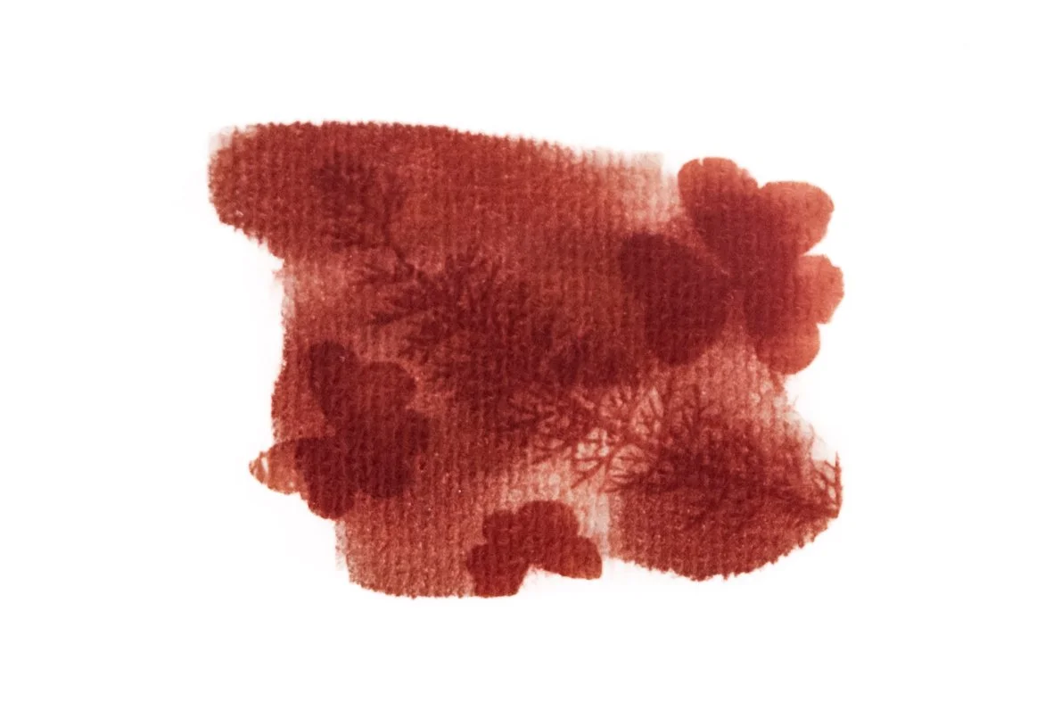 Natura -Anthotype