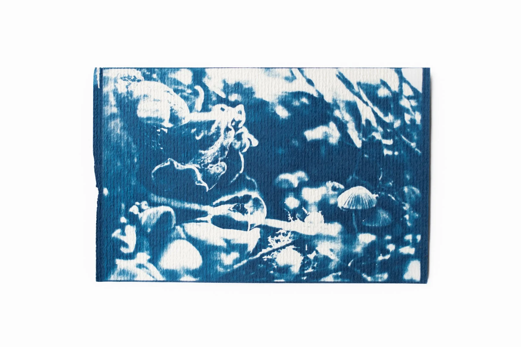 Niňos Santos - Cyanotype