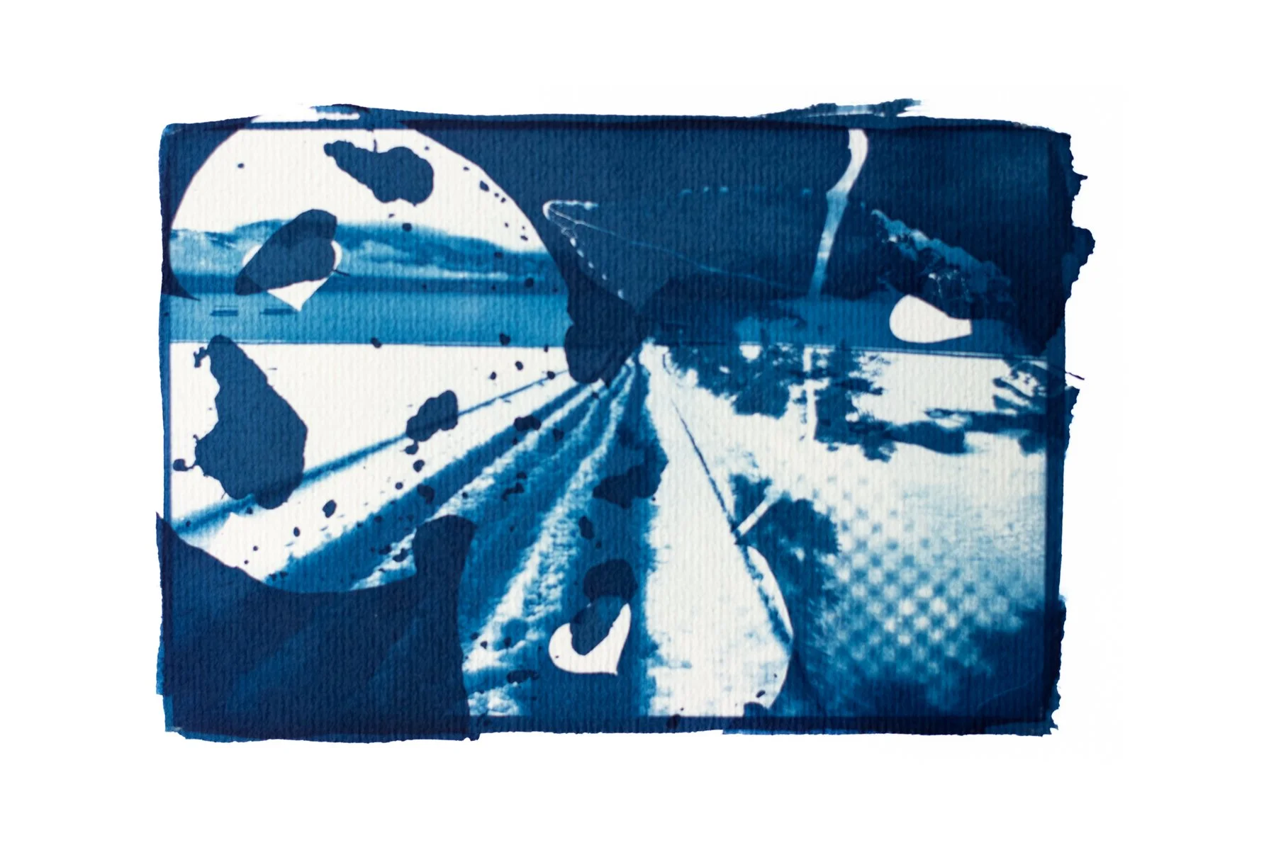 Pucon & Kawakawa -Cyanotype
