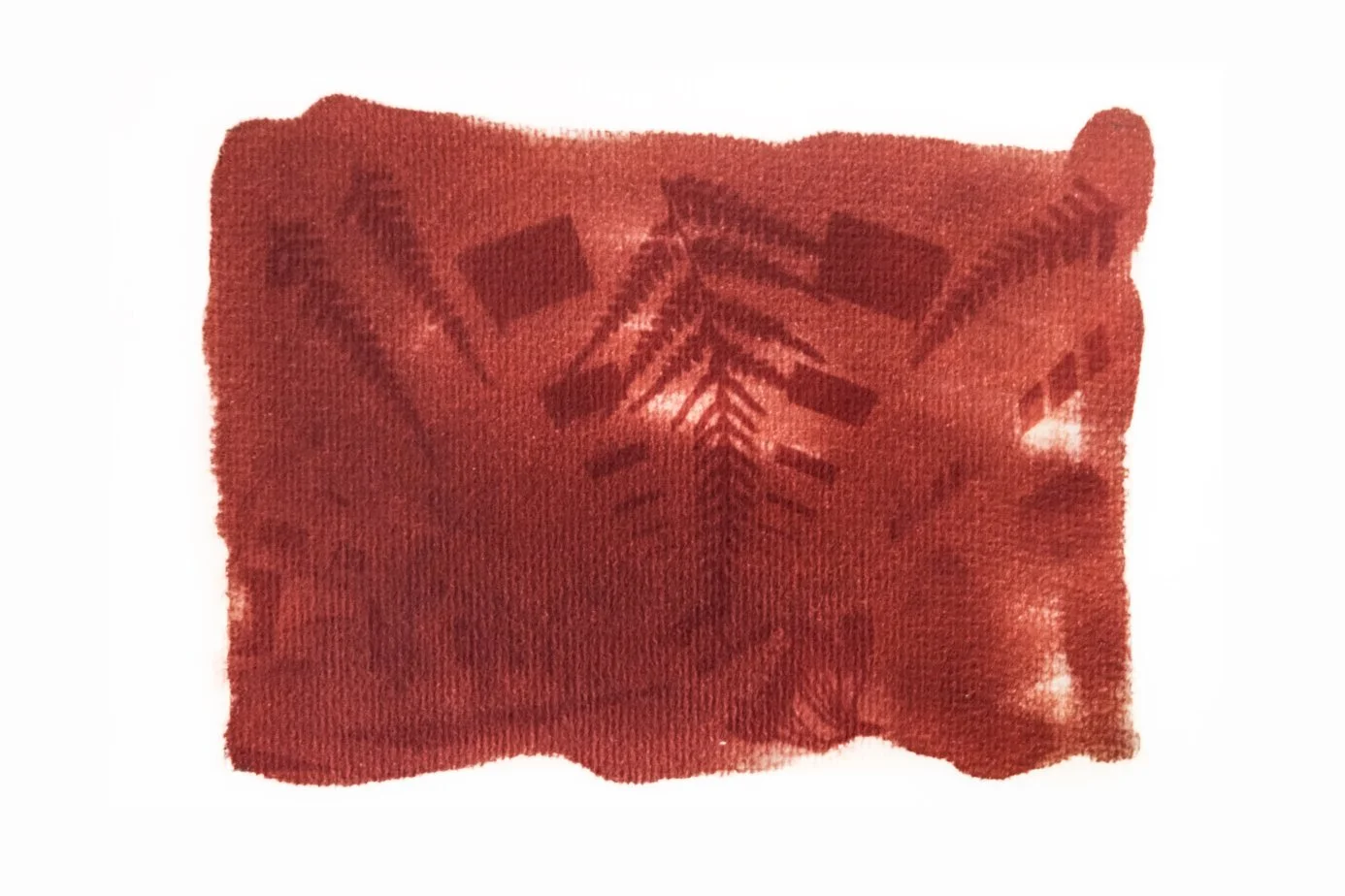 Valparaíso - Anthotype