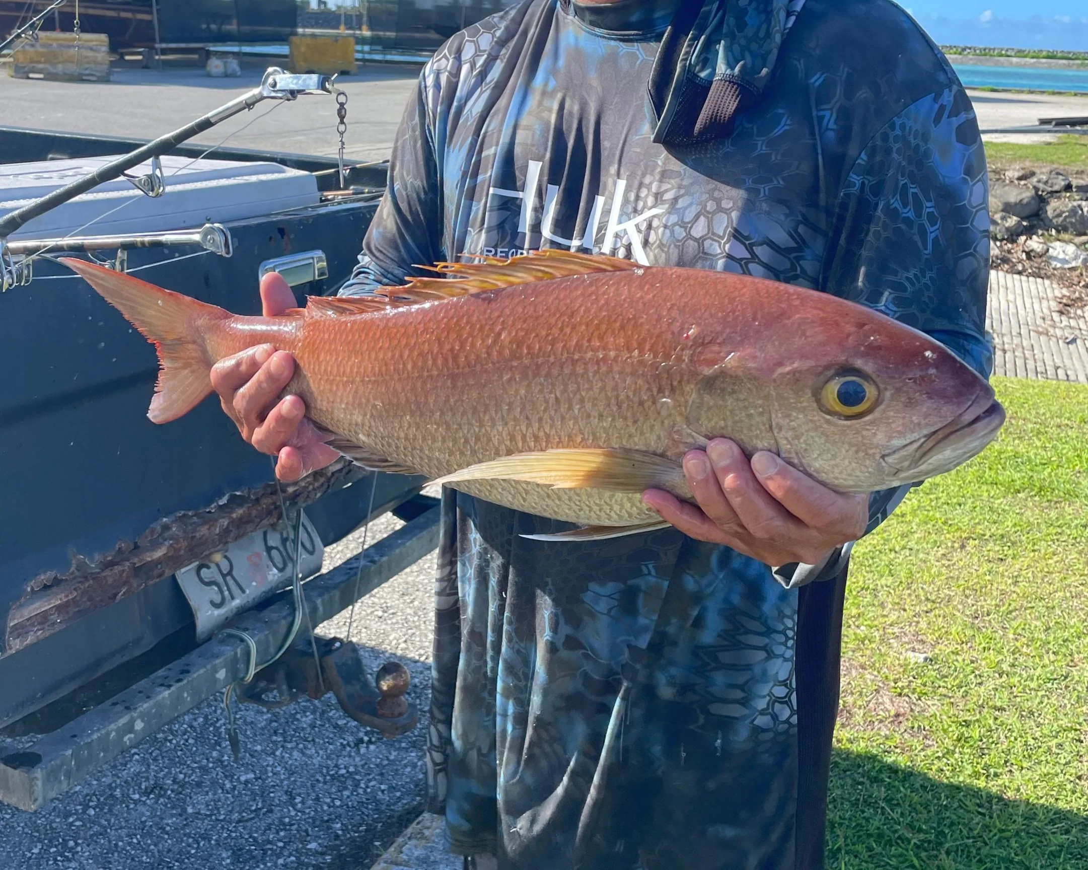 Marianas Reefs — Guam Coral Reef Initiative