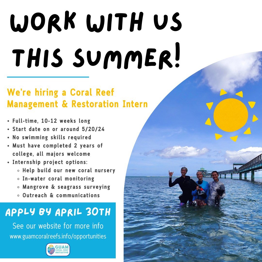 Apply to be our summer intern! 🪸☀️ See our website to learn more and apply: www.guamcoralreefs.info/opportunities