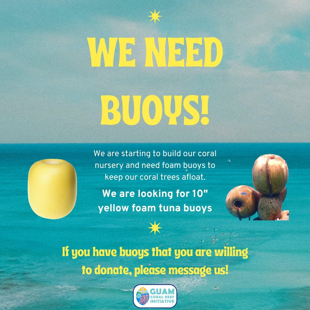 We are looking for foam tuna buoys for our coral nursery! Please comment here or message us if you have any you are willing to donate 👍