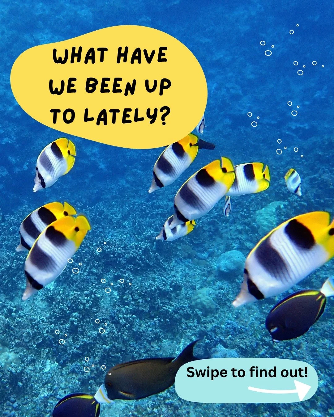 We made it to October! Swipe to see all our team has been doing during the month of September and follow along! 🐠