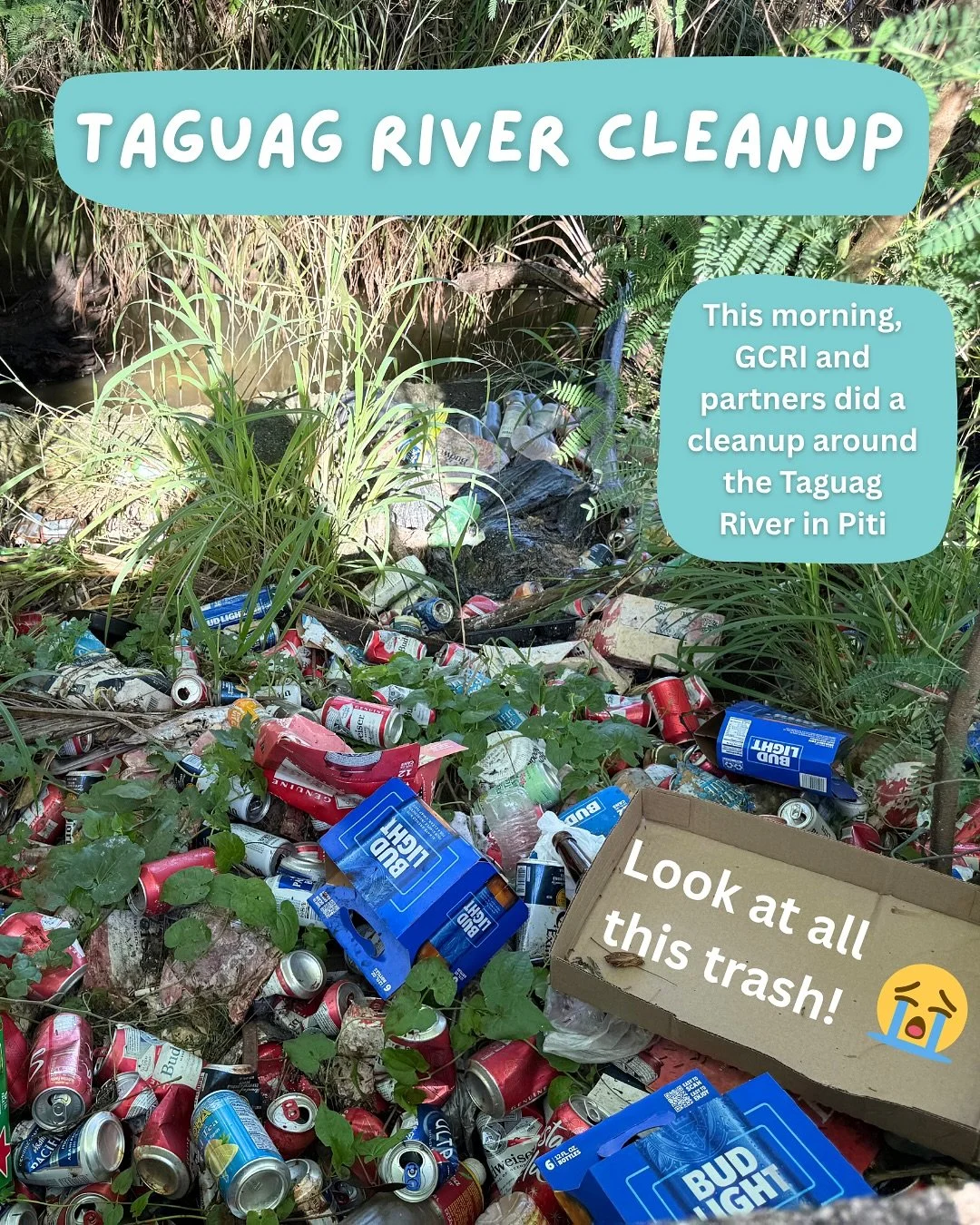Good water quality is vital to the health of our communities, ecosystems, and oceans. Our actions on land directly impact the ocean too 🌊
&nbsp;
Pollutants from agriculture, urban runoff, and waste often flows into our waterways impacting rivers, st