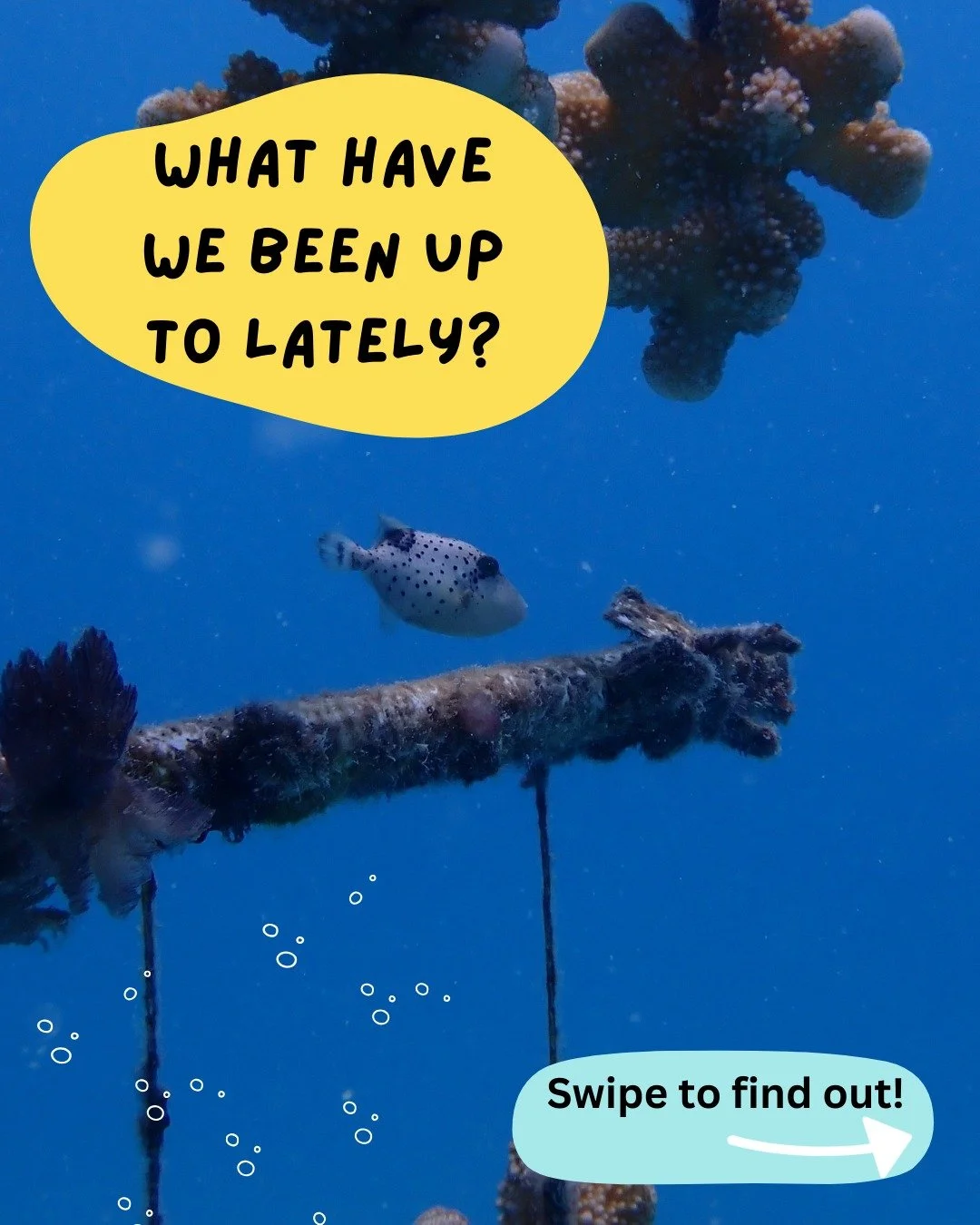 Hope everyone had a wonderful thanksgiving! We are thankful for you all who follow along with all the work we do. Swipe to see what our team has been up to this past month✨