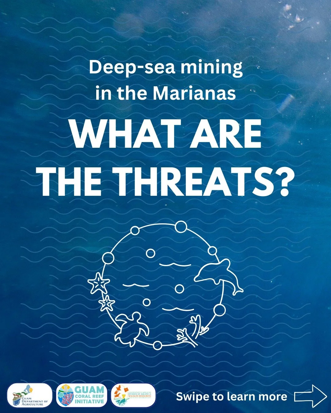 There's been a lot of talk lately about deep-sea mining. Want to learn more? Read through these slides to learn more about some of the threats deep-sea mining poses to our ocean ecosystems and what you can do about it! 🦑🪼🦀

Here is the link to the