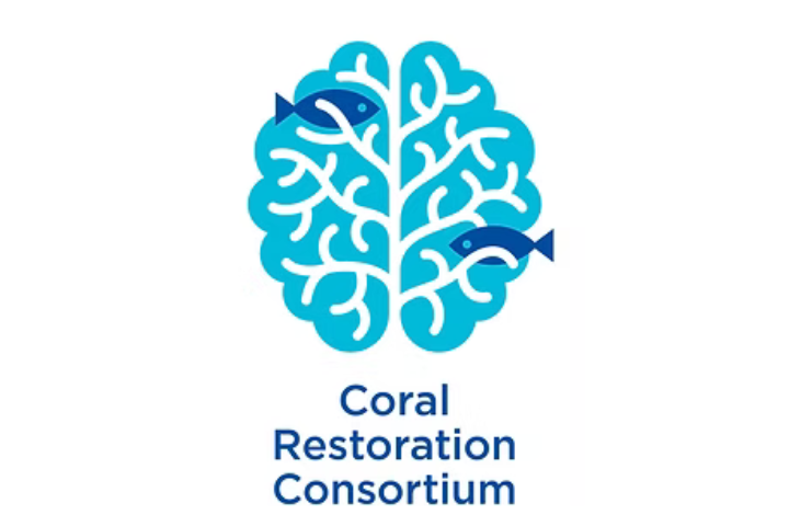 Pacific Islands Regional Group Coordinator