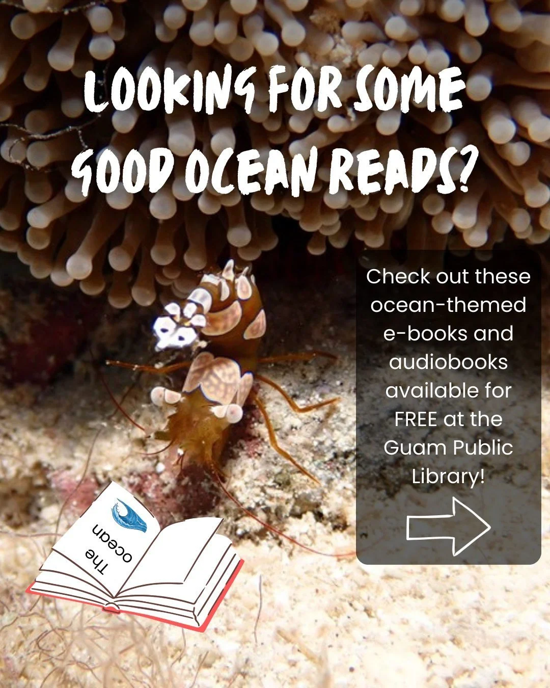 Ocean-themed books for those looking to learn more! All of these e-books and audiobooks are available for FREE at the @guampls &ndash; all you need is a library card and the Libby app to start learning. 🌊💡

Comment below if you have read and enjoye
