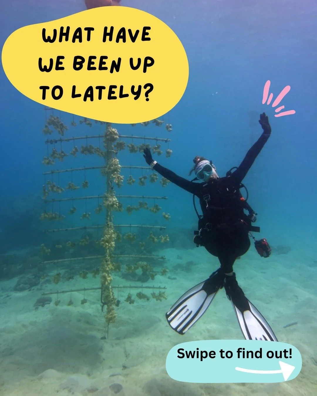 That&rsquo;s a wrap on Mes CHamoru! 🇬🇺🏝 March was busy for GCRI, with lots of work done in the water and in the community. Swipe through to see what we have been up to!