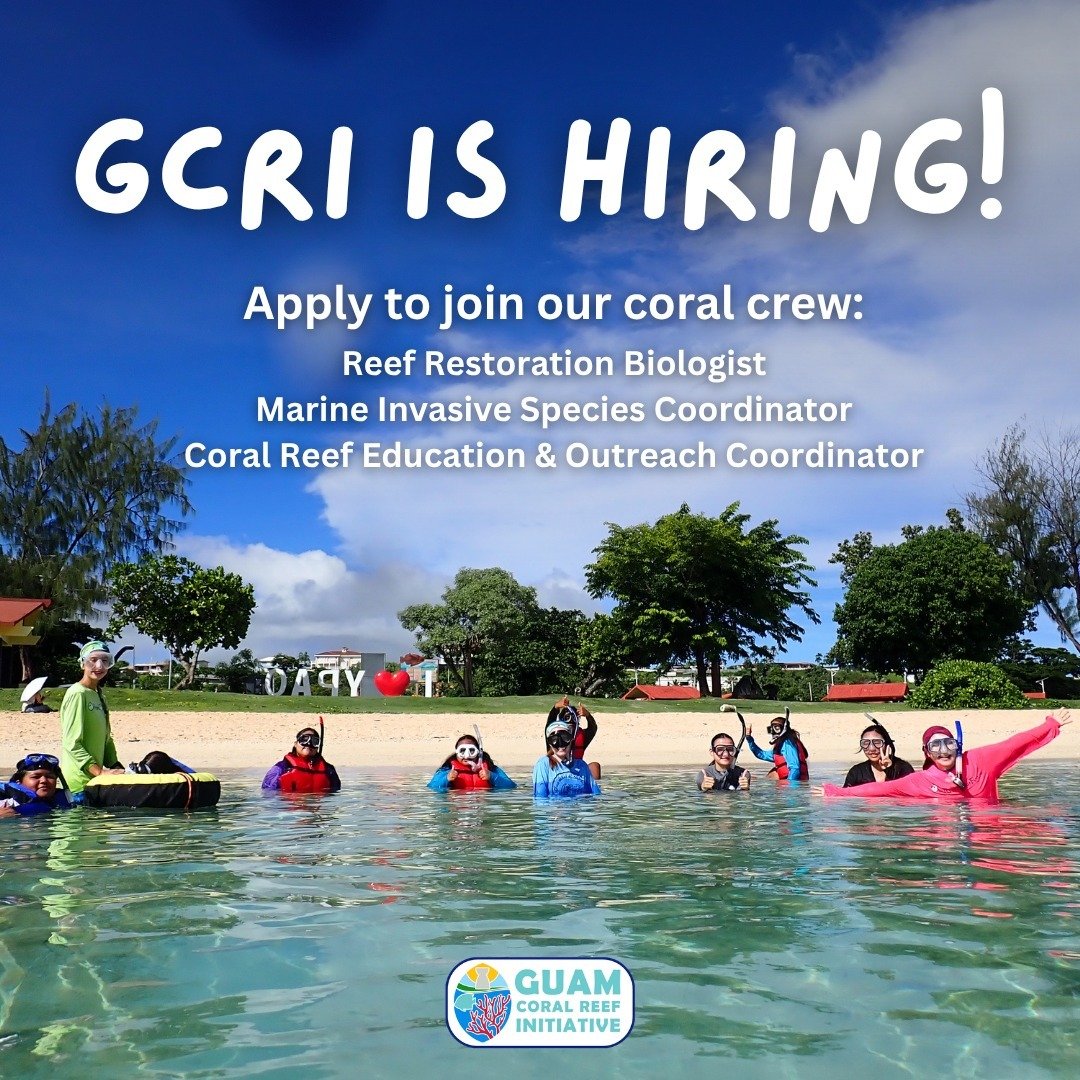 Join our coral crew! GCRI is hiring 🪸
Check out our openings here: https://www.guamcoralreefs.info/opportunities
(link also in our bio)