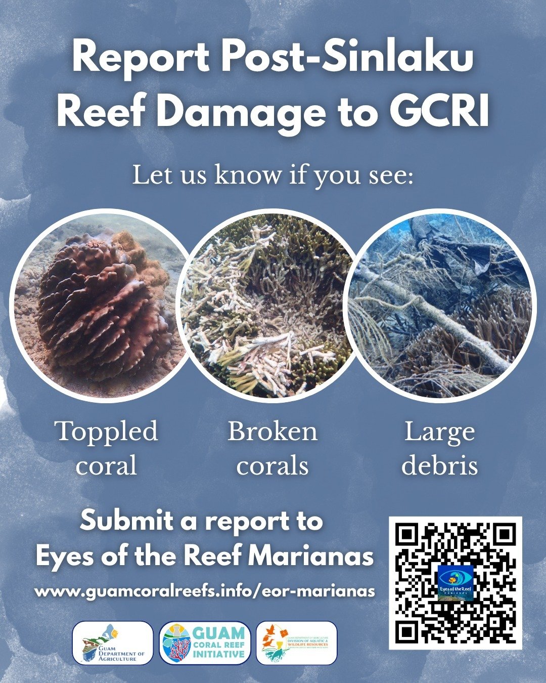Typhoon Sinlaku recently hit Guam's shores bringing 8&ndash;12 ft waves and 70mph+ winds. As we head back out to the water, we&rsquo;re asking for your help in documenting the impact on our coastlines and reefs. 📸🪸 

If you notice: 
-Toppled corals
