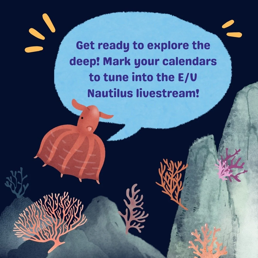 The new Ocean Exploration Trust expedition season aboard the E/V Nautilus is starting this June! This year brings more exciting deep-sea adventures, exploring the waters of the Pacific, including the Mariana Islands 🏝️ Once the expeditions start, fo
