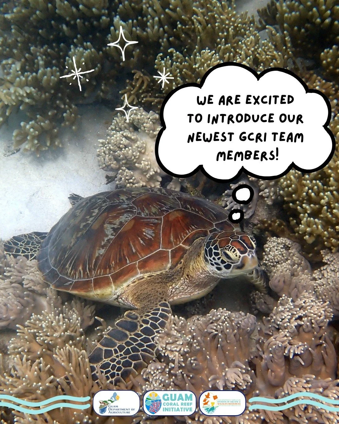 GCRI is super excited to welcome two new members to our team, Chloe and Brittany! Both have been hired as Reef Restoration Biologists. 🪸🐠 

Chloe received her B.S. in Ecology and Biodiversity, along with two minors in Sustainability and Physics, fr