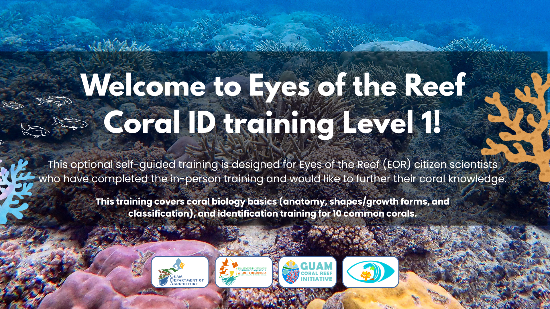Level ! coral ID training cover slide