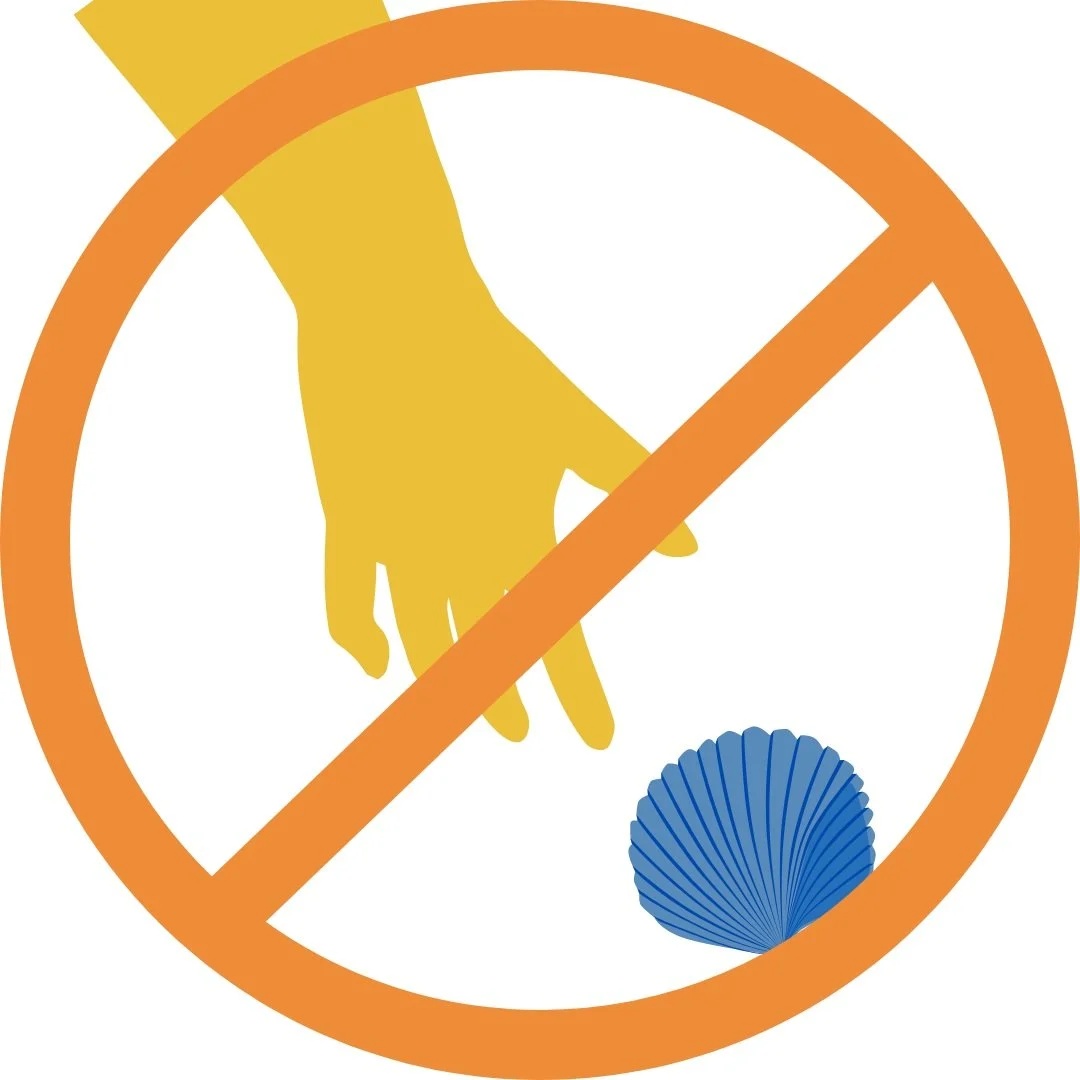 Strikethrough icon with a hand reaching for a seashell