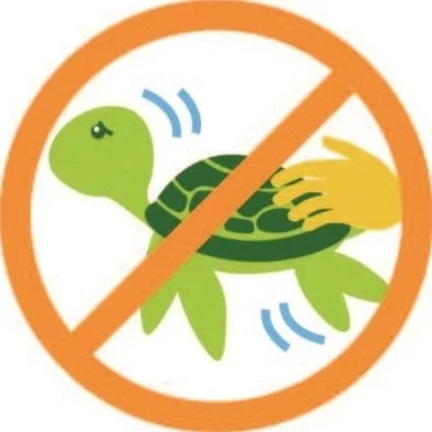 Strikethrough icon with a hand touching a turtle
