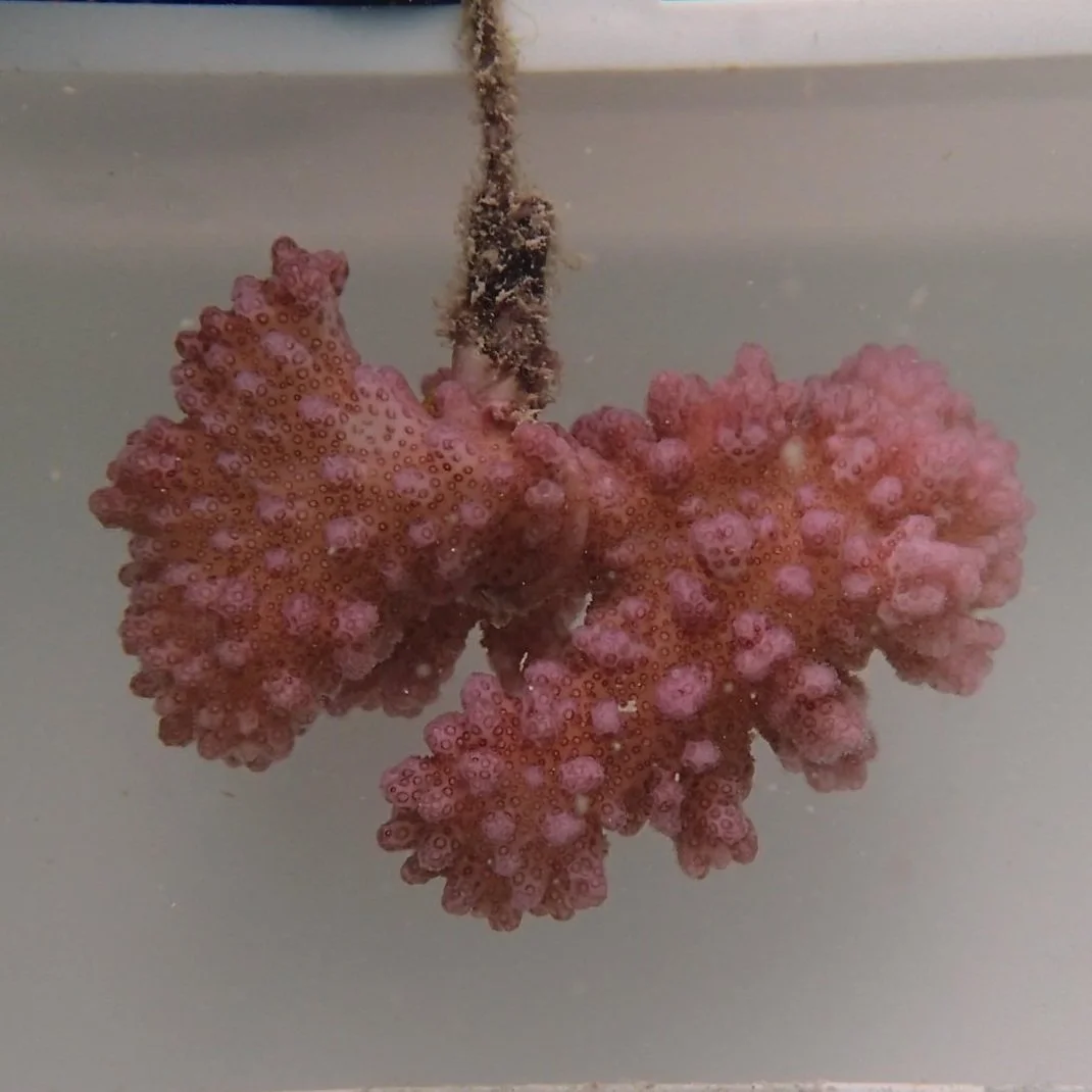 WhatsApp Image 2025-07-08 at 16.22.30.jpg