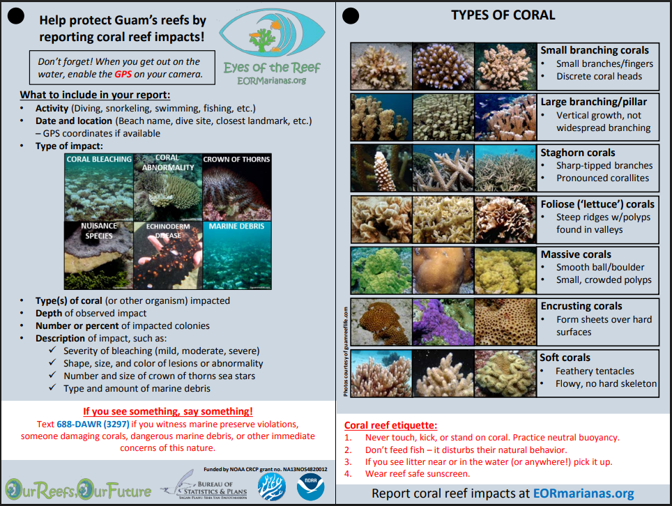 Eyes of the reef field guide screenshot