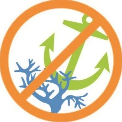 Strikethrough icon with an anchor hitting coral