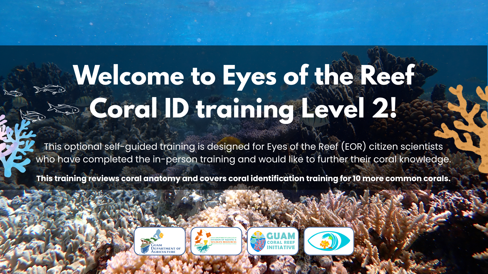 Title slide for Level 2 Coral ID training