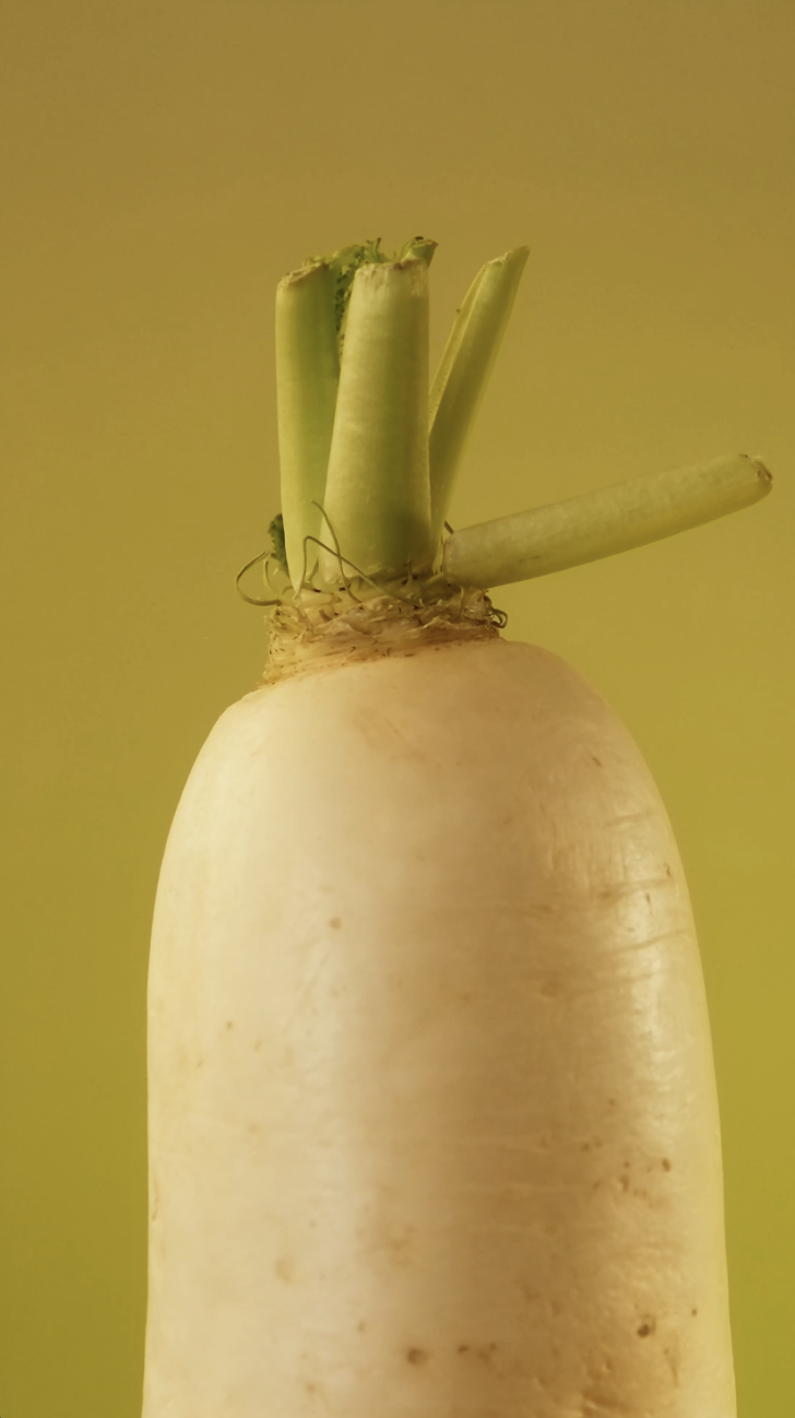 BBB - HARVEST Veg 2.png