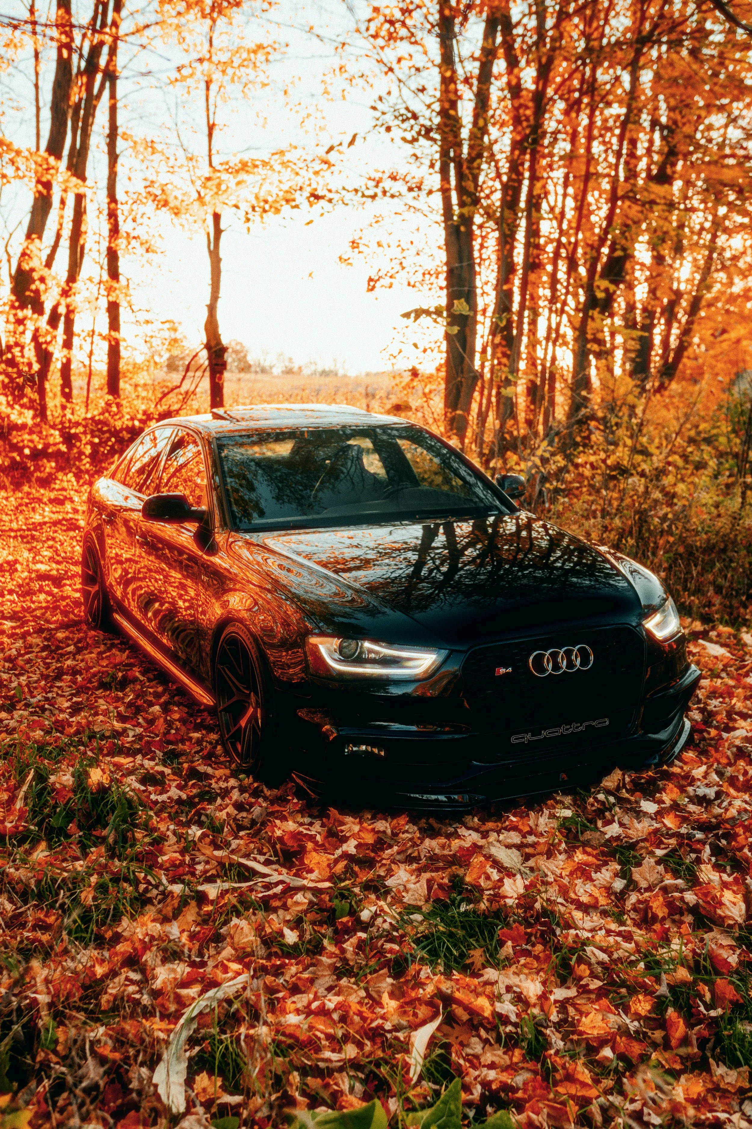 20221022_GV_S4_Fall_00555.jpg