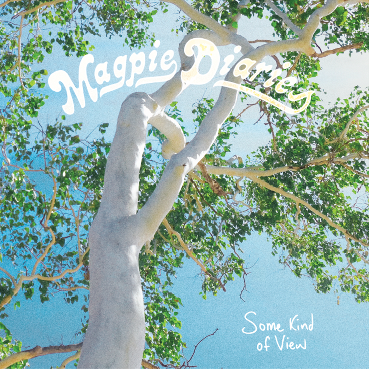 Click here to listen or purchase a Magpie Diaries latest album, Some Kind of View via Bandcamp