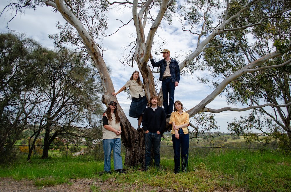 Norwood promo pic