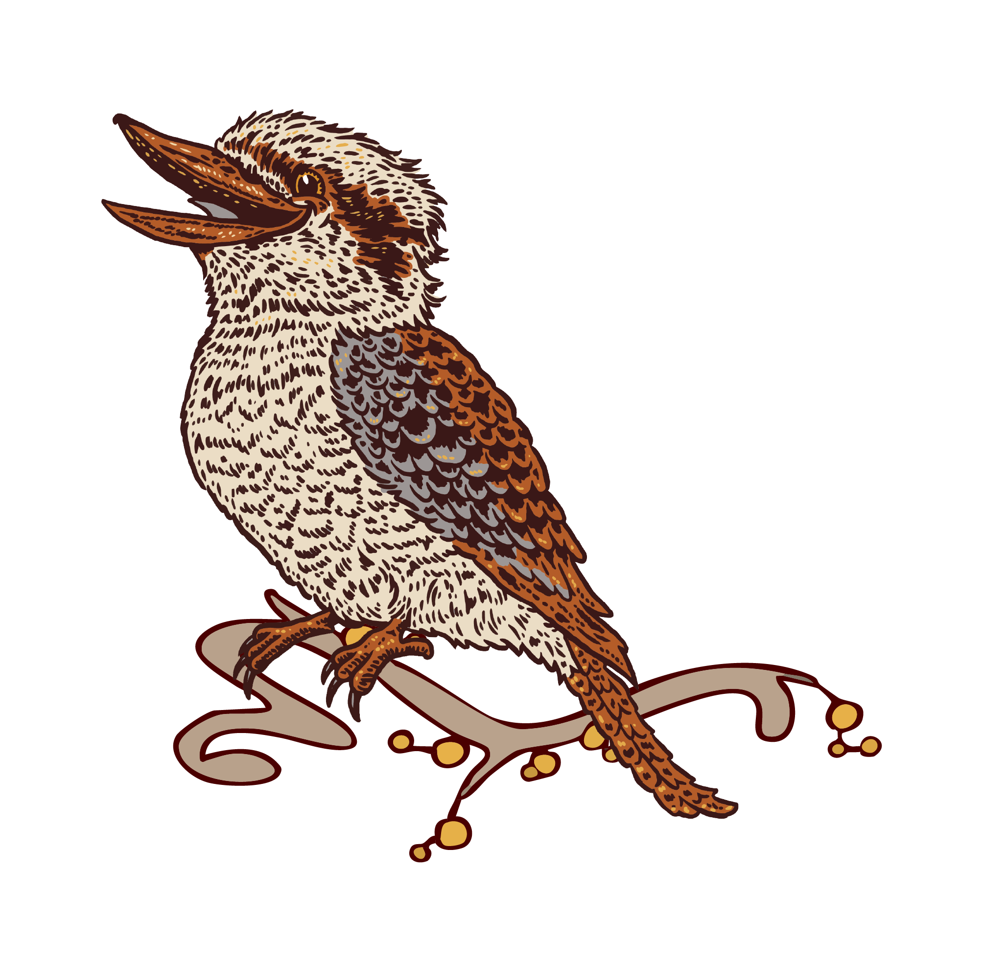 Hand drawn kookaburra sitting on a branch, laughing
