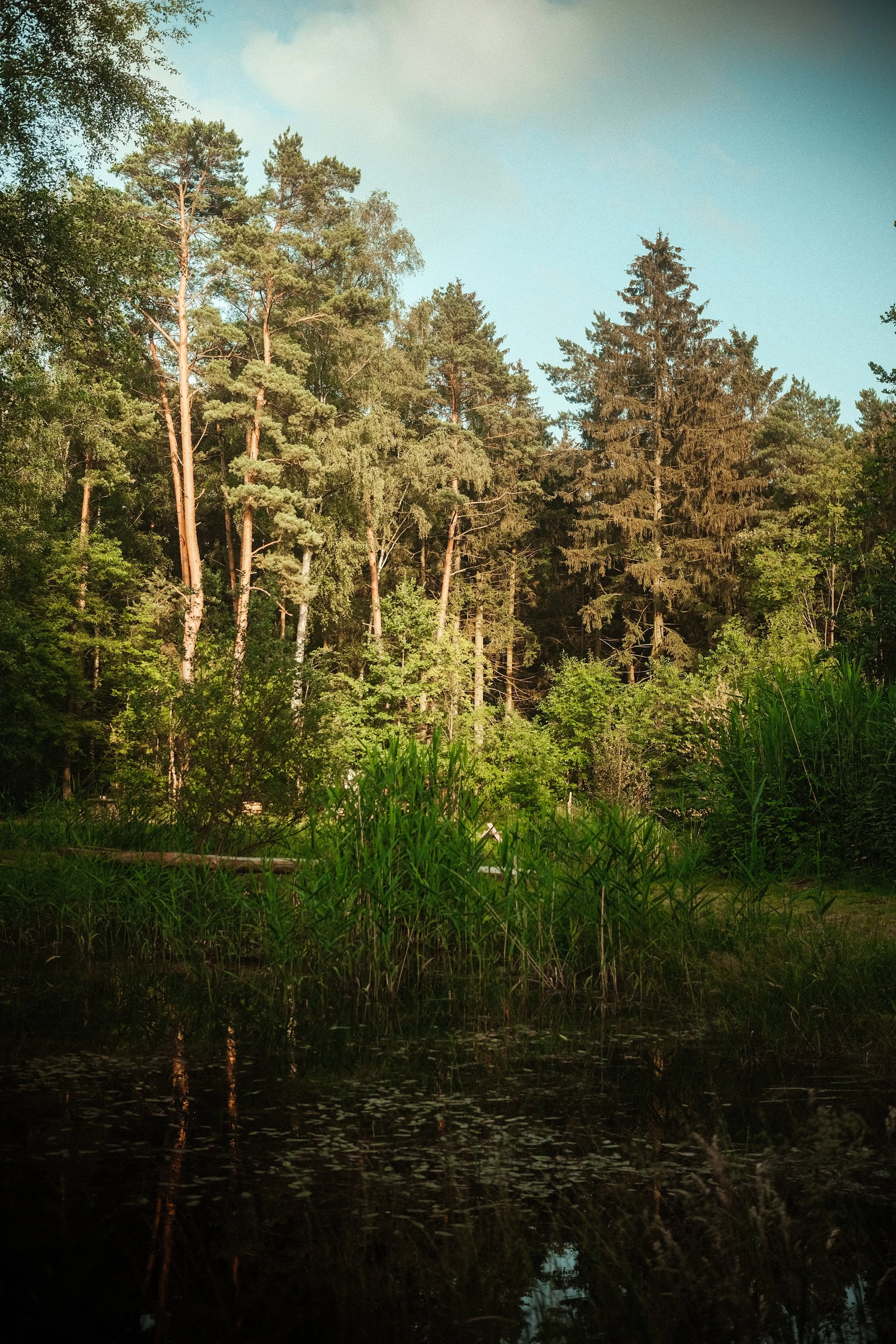 DSCF0753.JPG