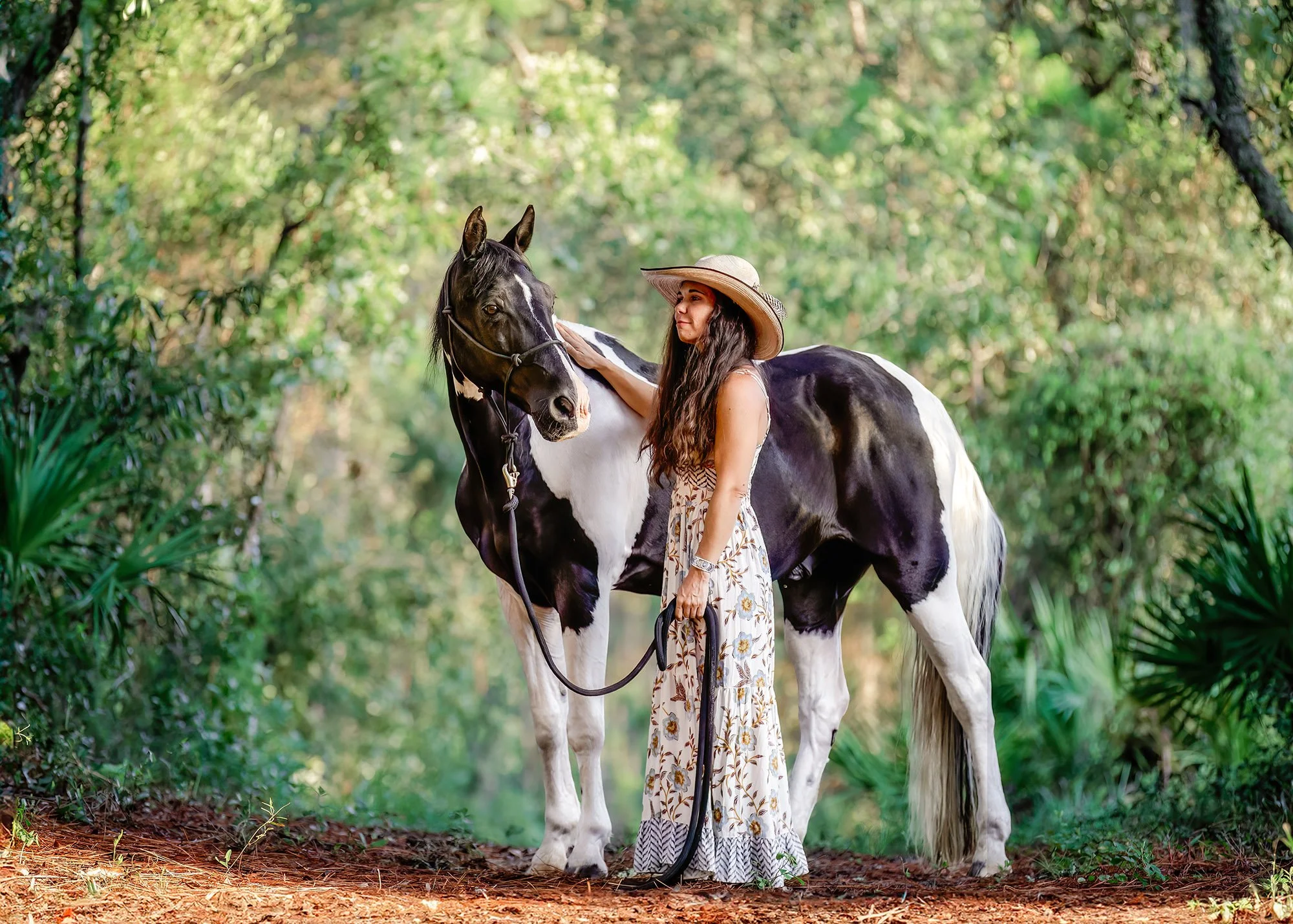 Equine portrait photographer Citrus County