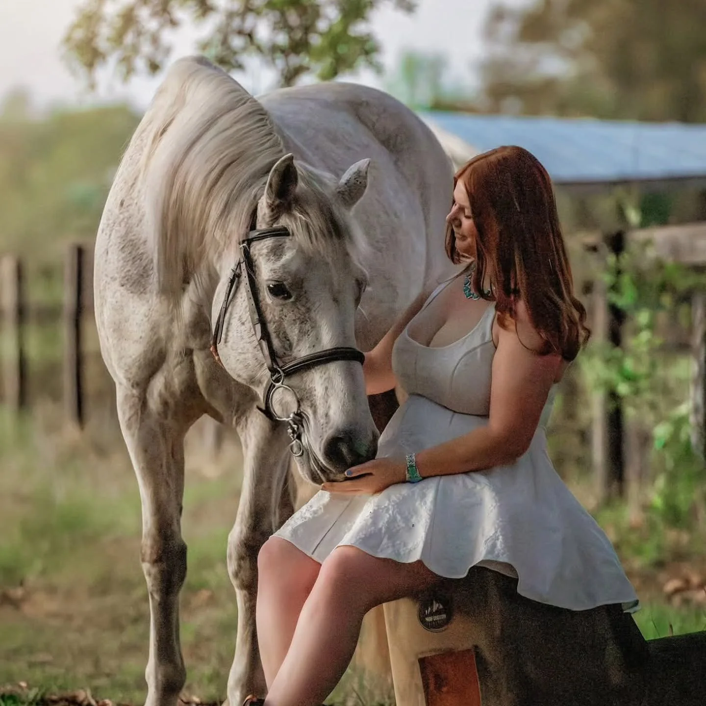 Sweetest senior session with Anabel and Caesar! 
#seniorsessions #hearthorses #equinephotographer #floridahorses