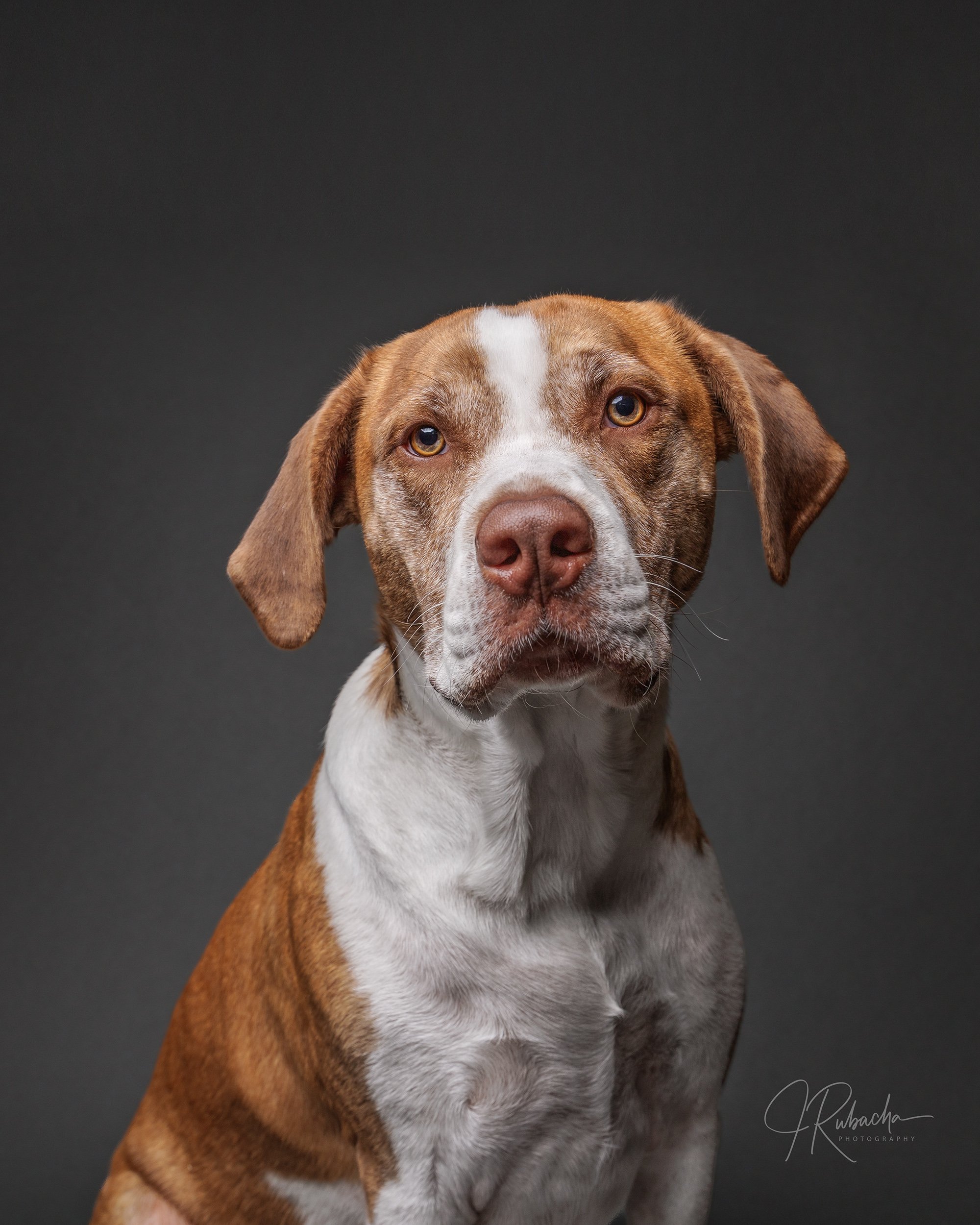 Rufus-15-Edit.jpg