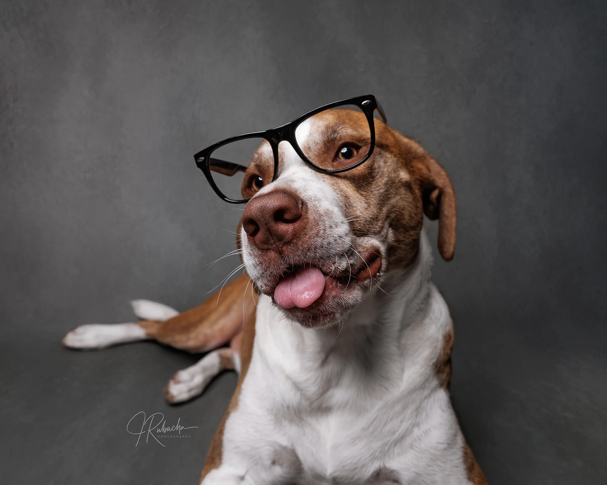 Rufus-38-Edit.jpg