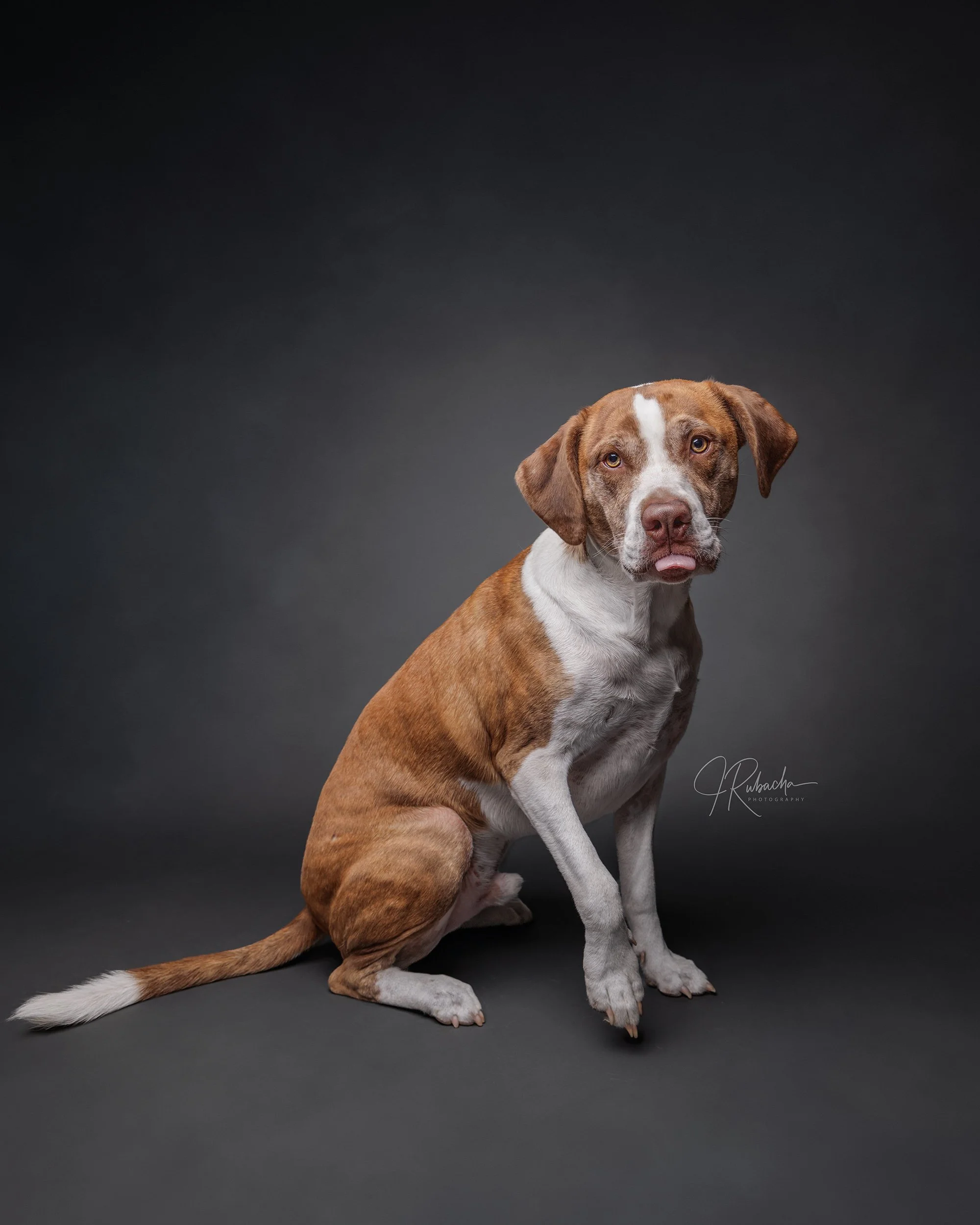 Rufus-51-Edit.jpg