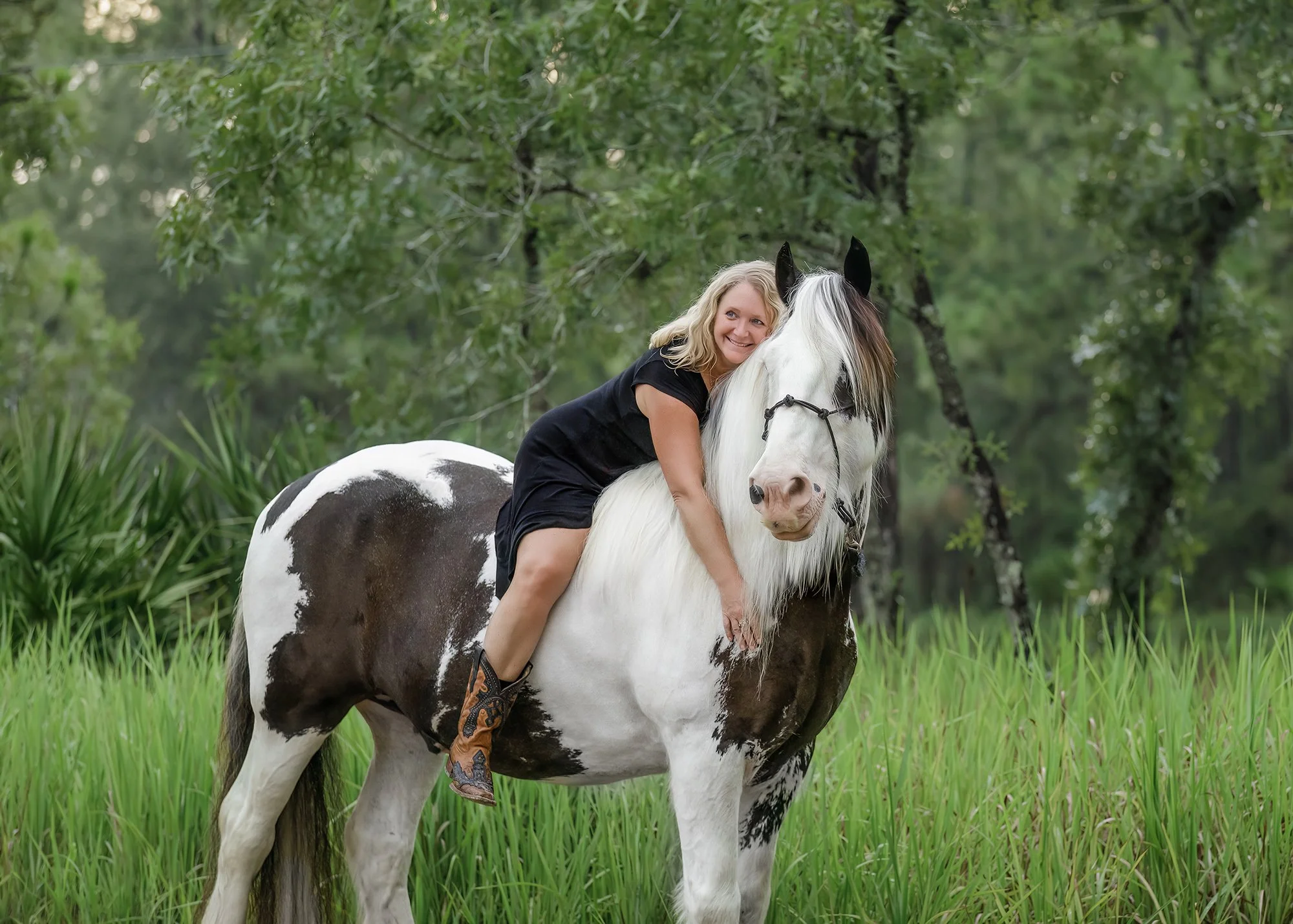 Horse portrait photographer Citrus County, Florida