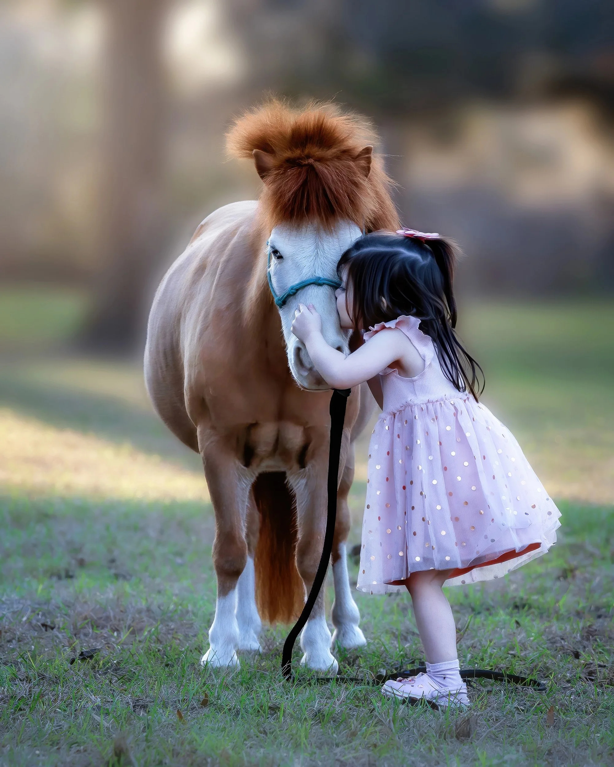 Child with pony photography