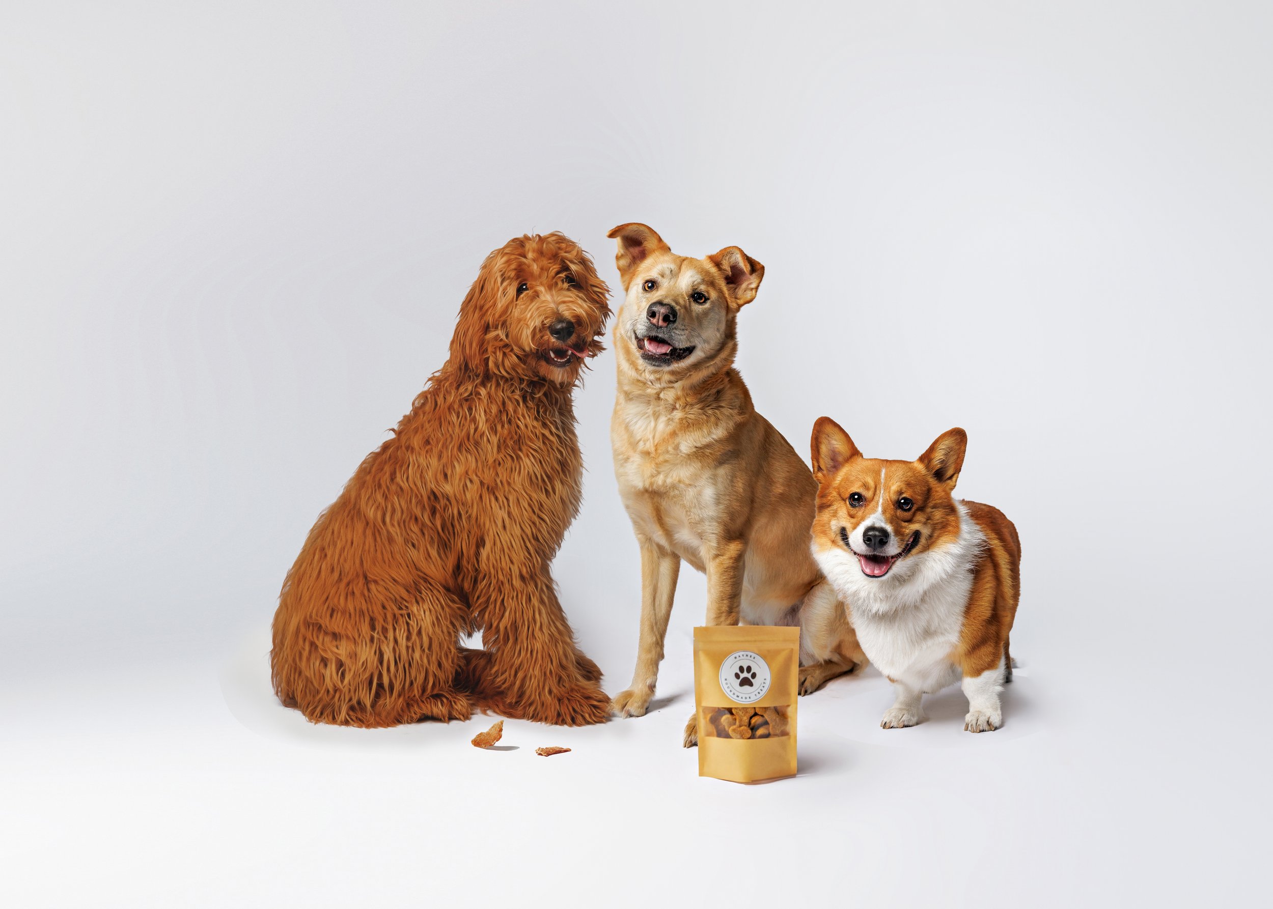 Branding image for website and advertising dog treats 