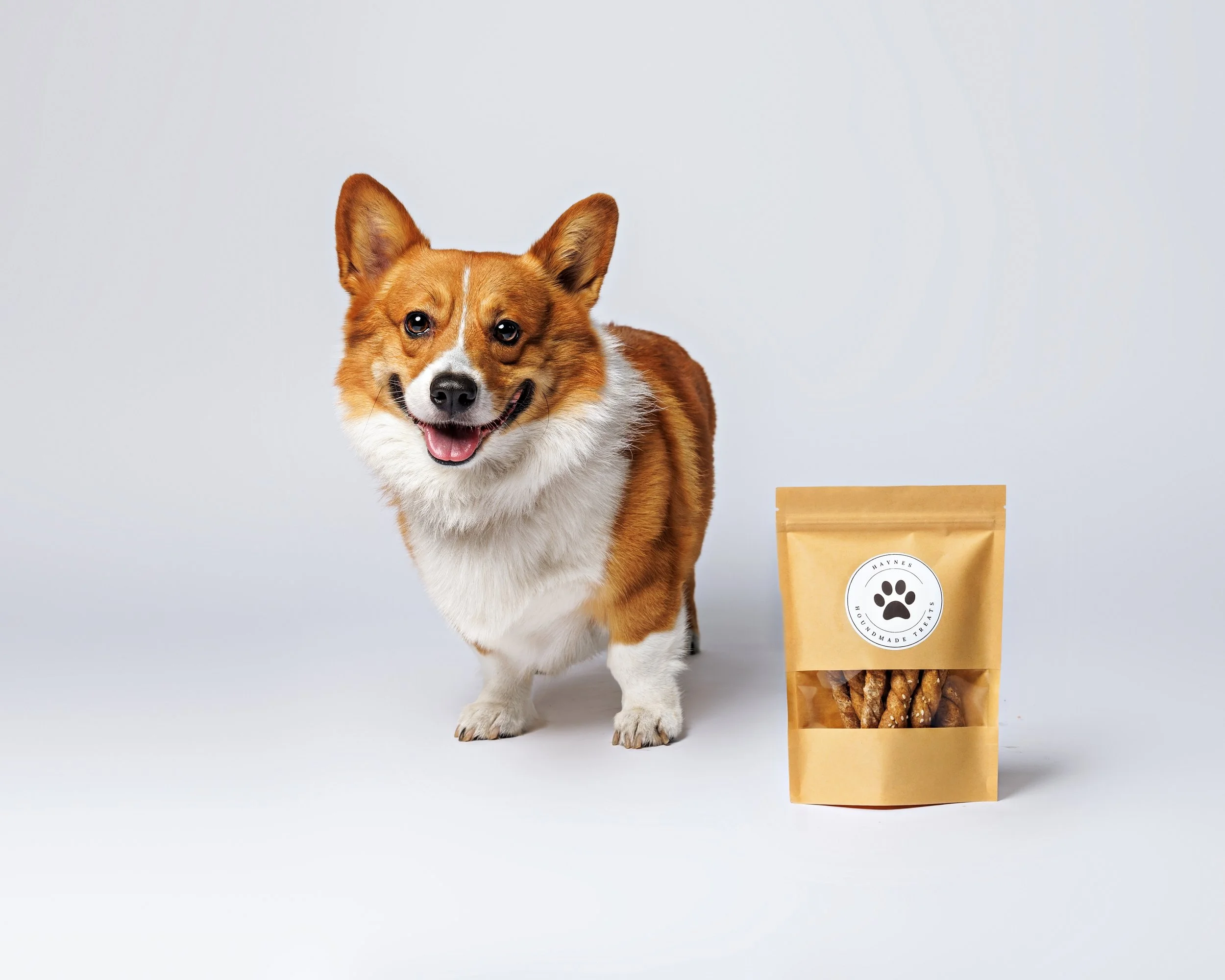 Dog treat small business branding photography session