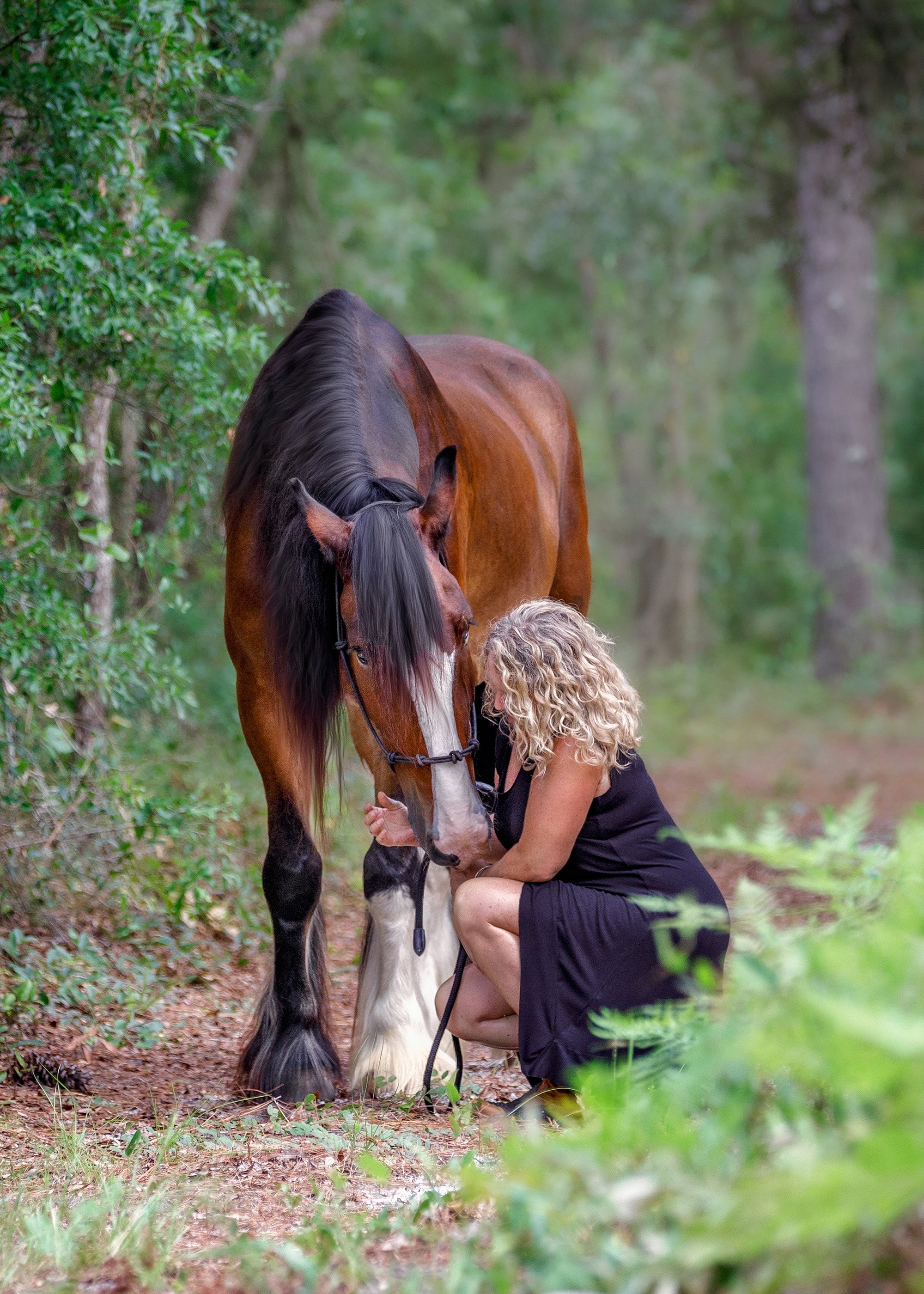 Equine photography in Citrus County Florida