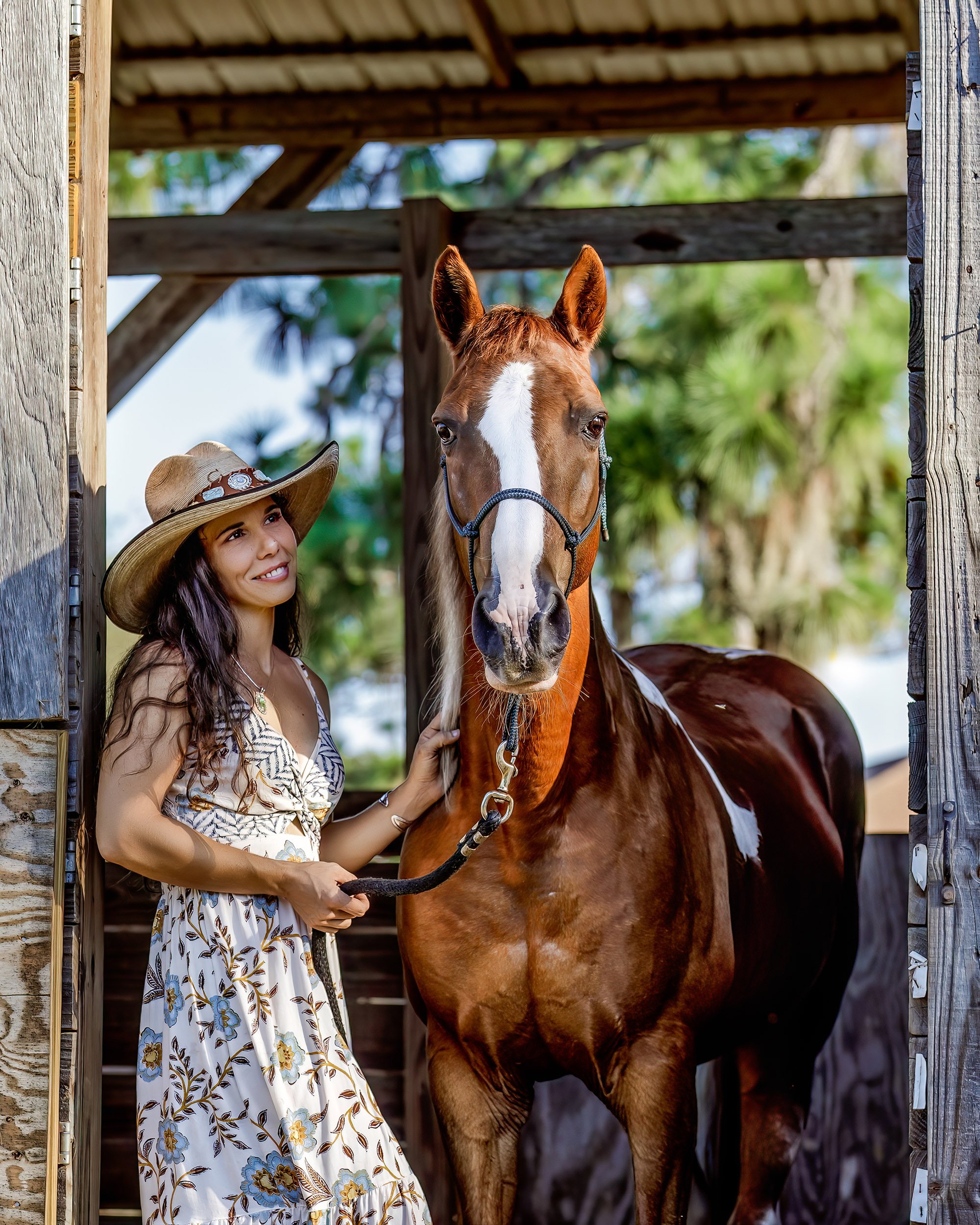 Citrus County horse photographer