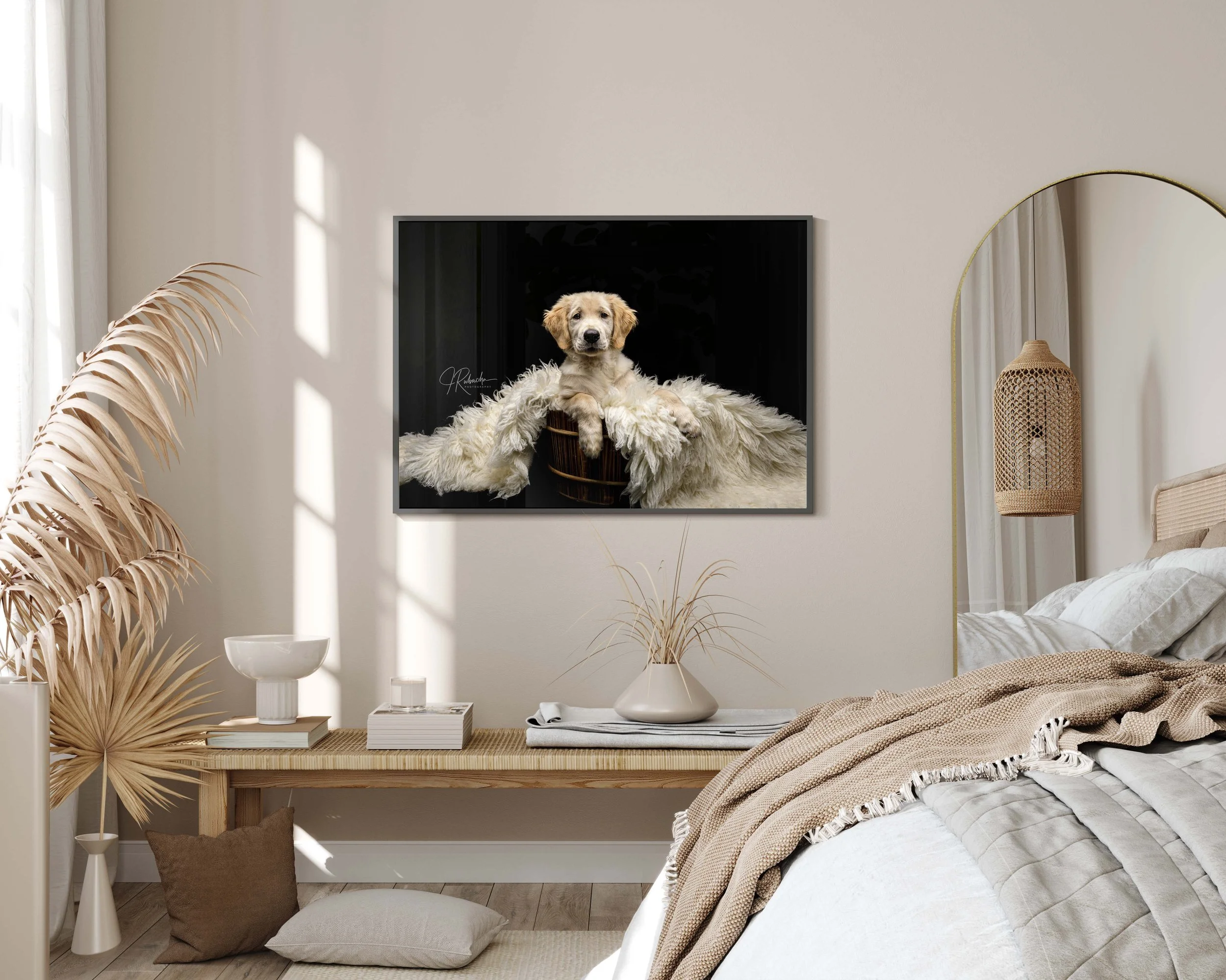 Living room with a green accent wall, a gray armchair with a book, a small potted plant, and wall art featuring three photographs of dogs in nature.
